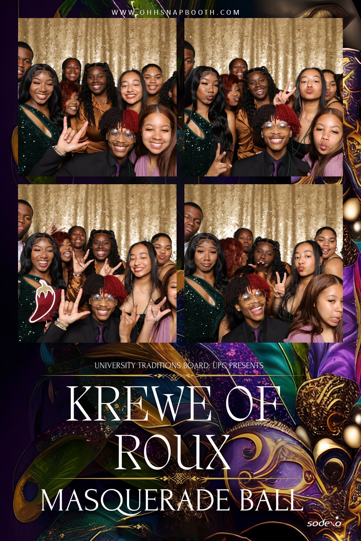 Alexandria Mardi Gras photo booth image 259