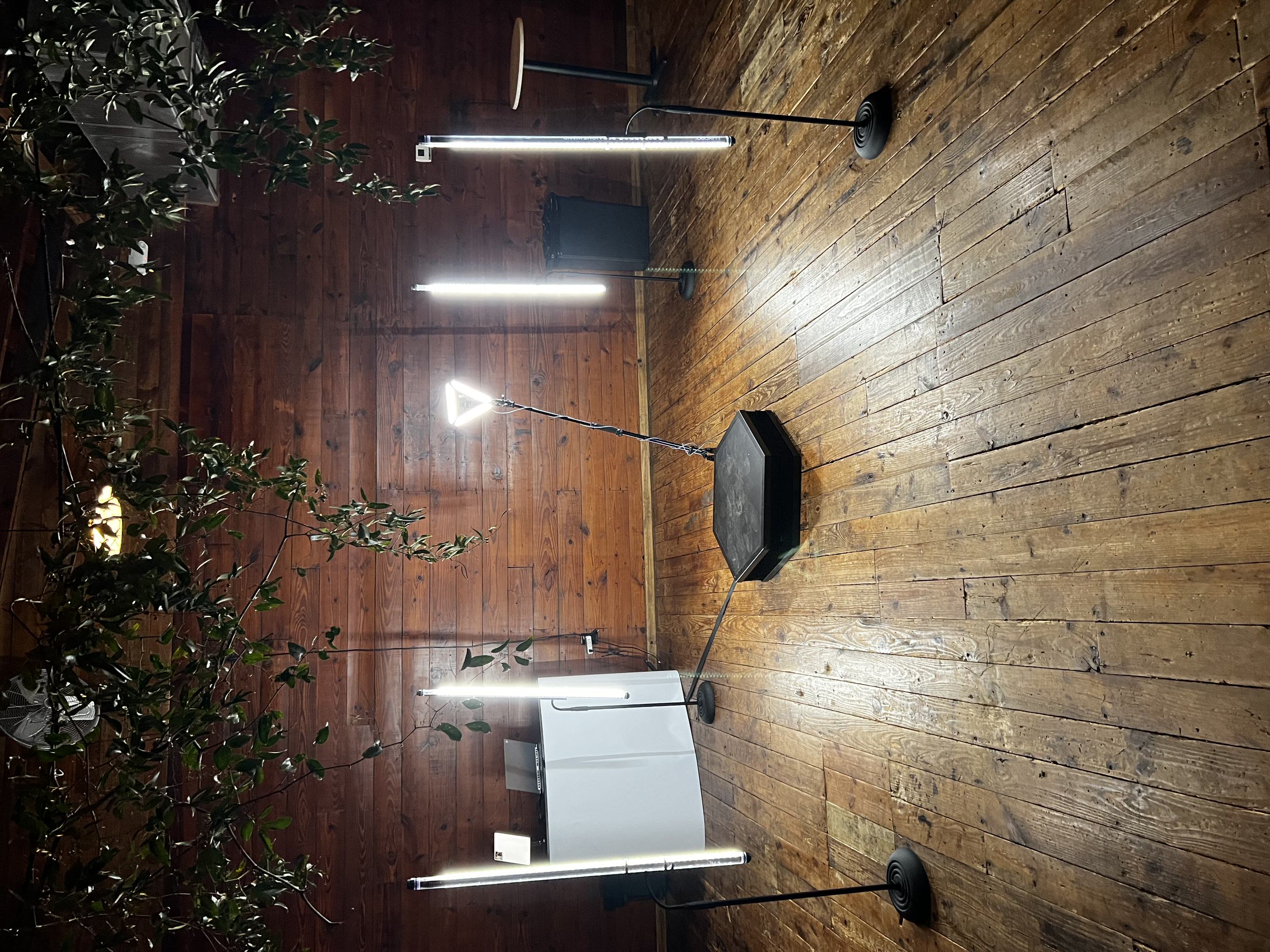 Alexandria Studio Photo Booth 288